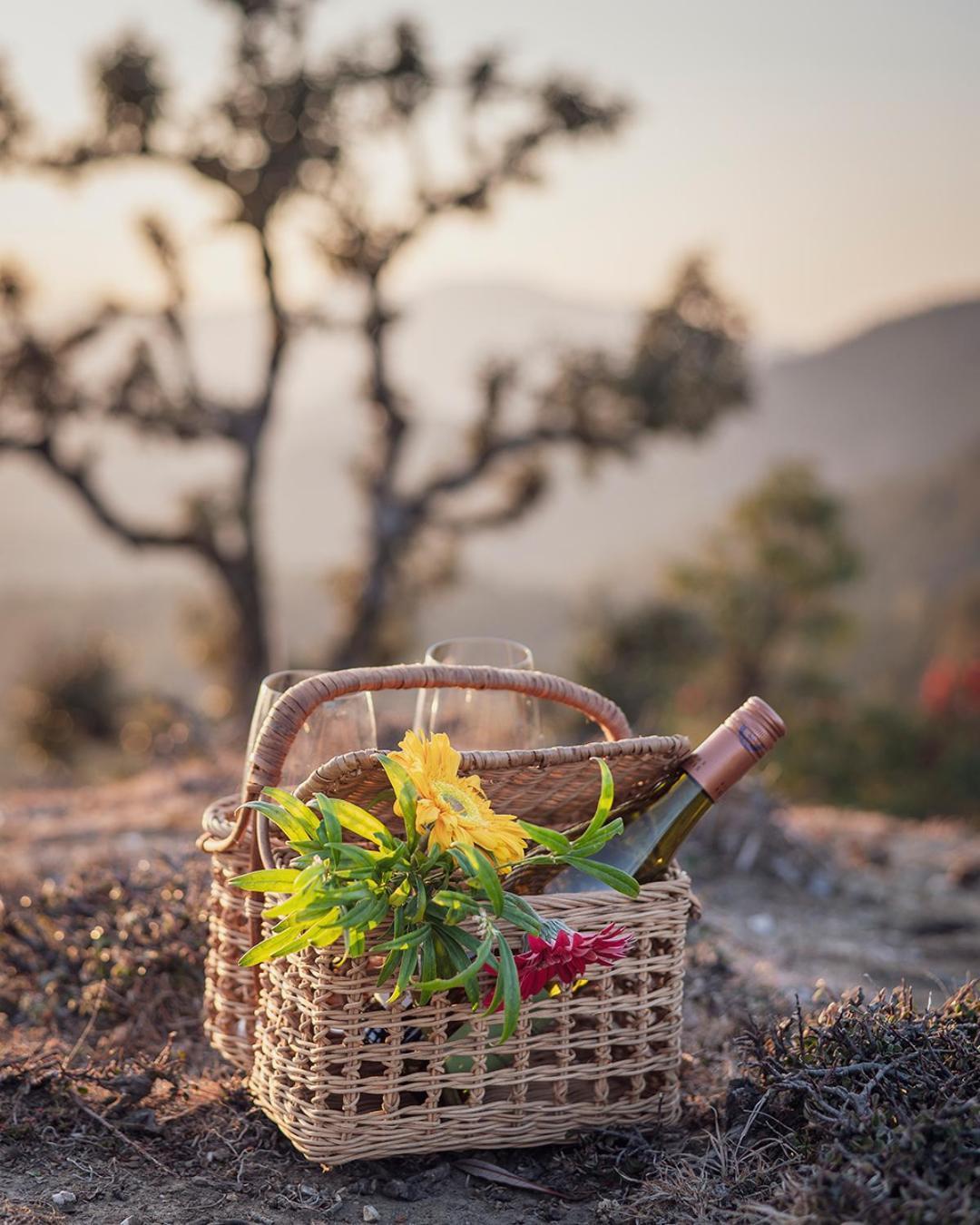 The Birdcage, Mukteshwar Hotel Екстериор снимка